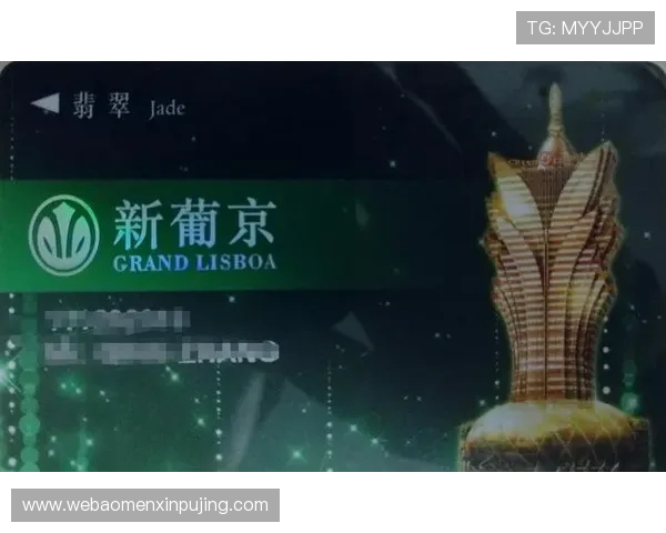 新葡京app官网最新优惠活动汇总，丰富奖励助力玩家轻松赢取丰厚奖金